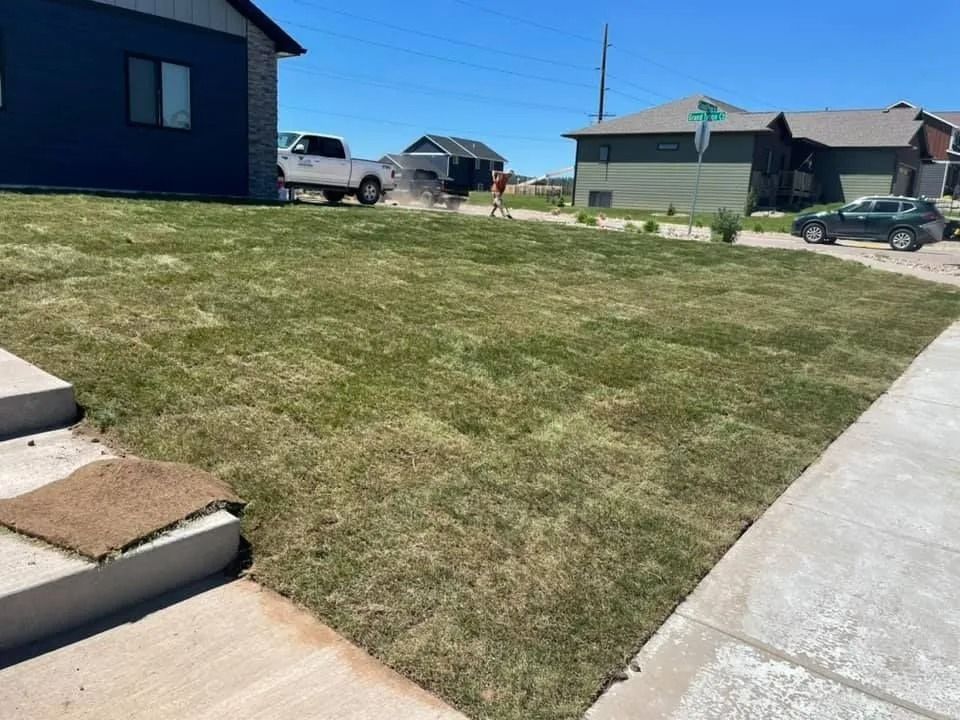 A sunny suburban residential front yard with a patchy lawn, a white truck parked at the curb, and nearby houses.