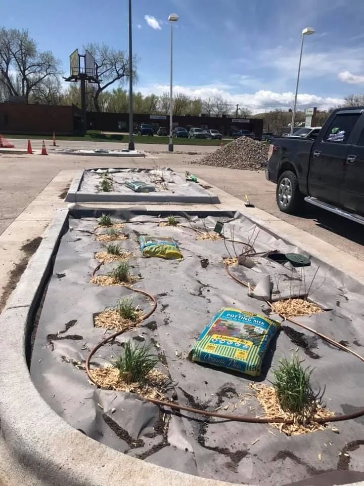 A landscaping bed in a parking lot featuring small plants, weed barrier fabric, drip irrigation, and bags of mulch.