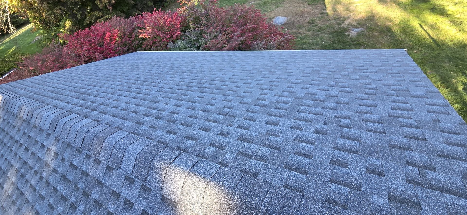 Close-up view of a shingled roof with a background of red bushes and green grass.