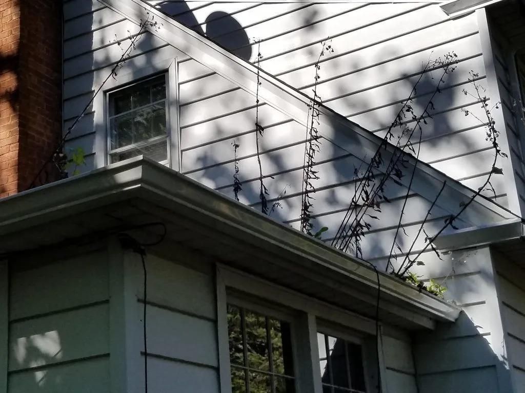House exterior with gray siding, gutters, windows, and growing vines.