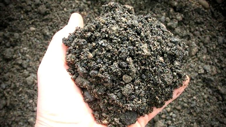 A hand holding a mound of dark, crumbly soil or compost outdoors