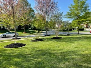 fall_clean_up_landscaping