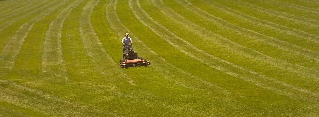 grass_cutting_service
