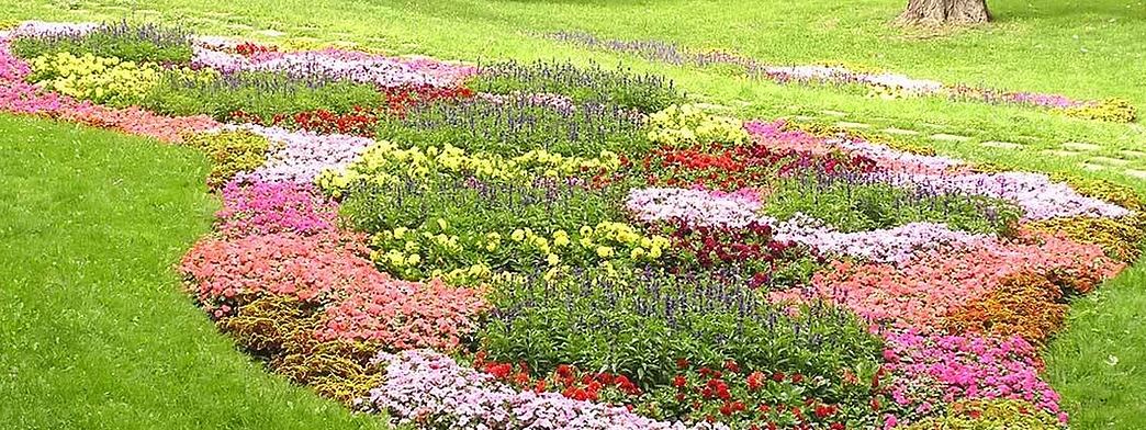 weed_removal_service
