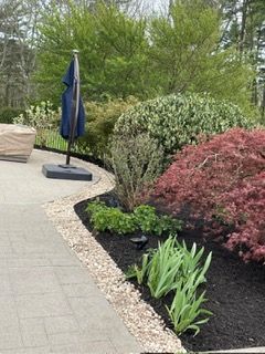 affordable_lawn_mowing_services