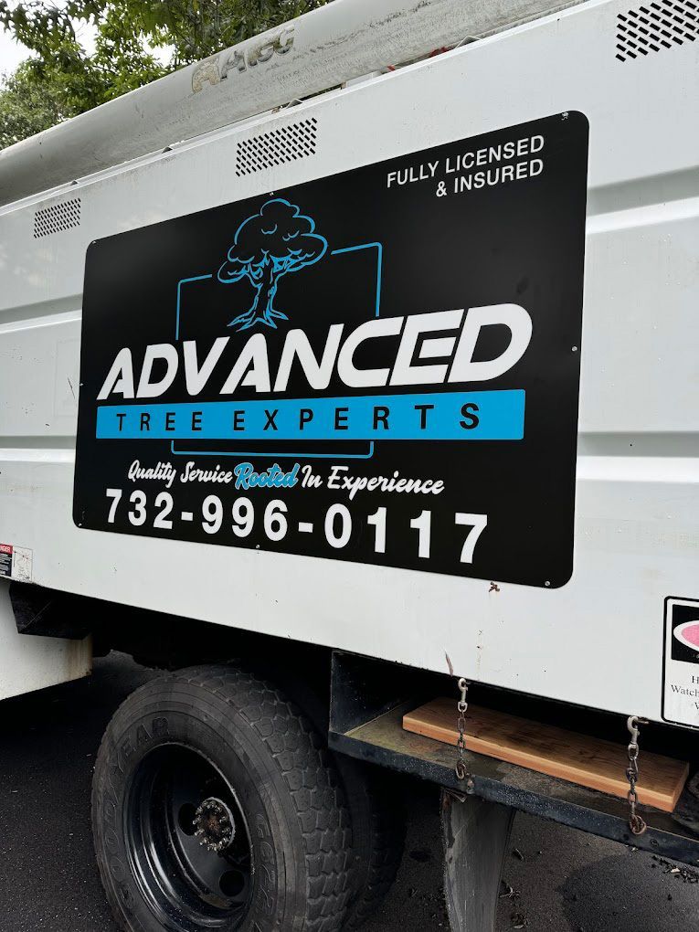 A white truck with a sign on the side that says advanced tree experts