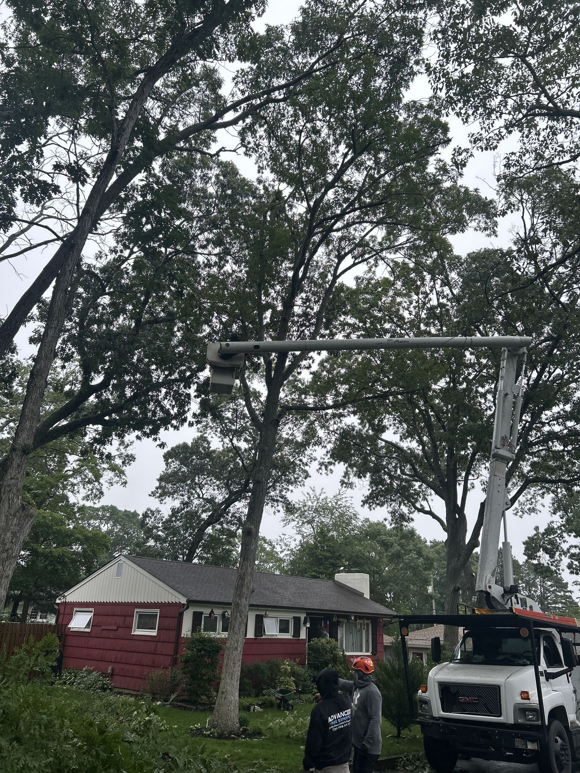 A man is cutting a tree with a crane in front of a house.