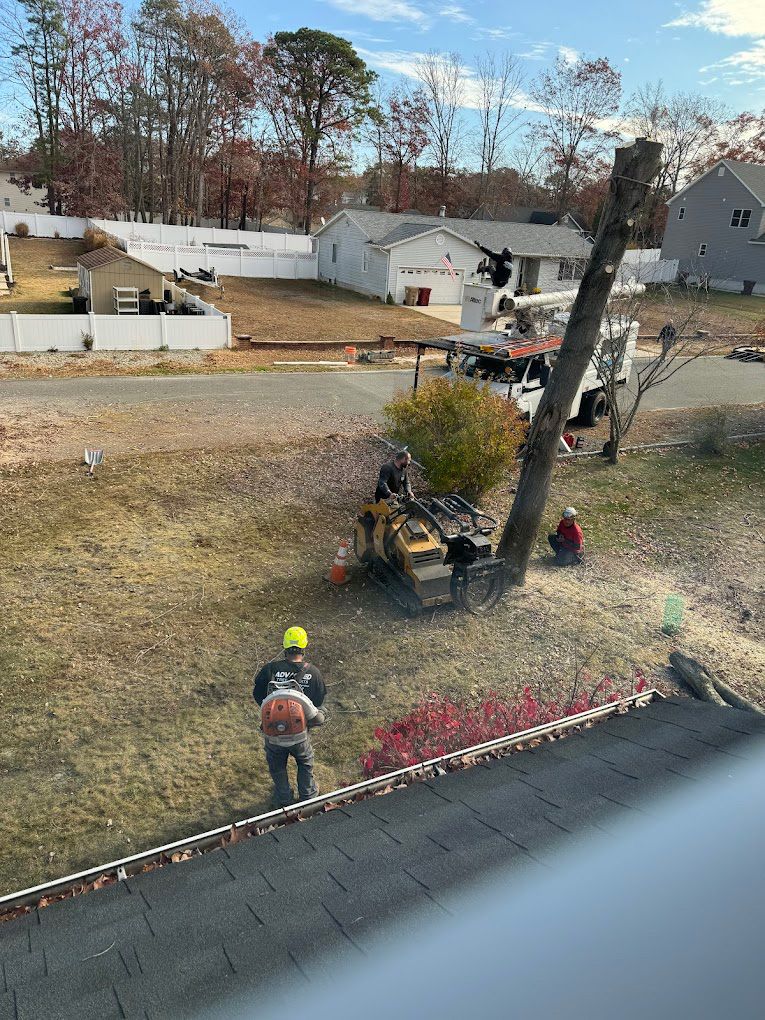 A group of men are cutting down a tree in a yard.