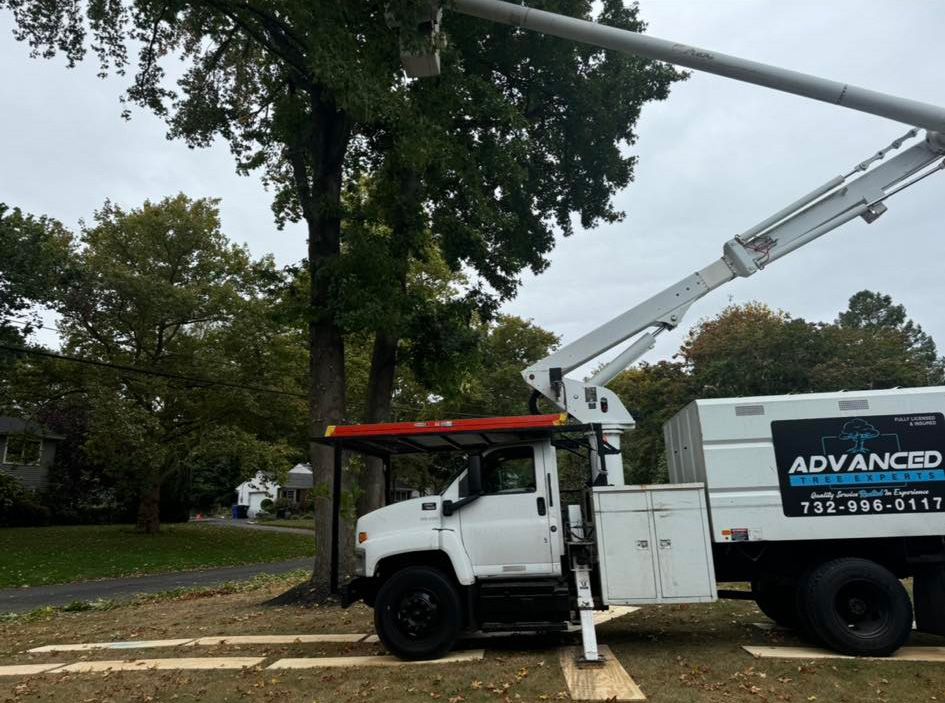 A white truck with a crane on top of it is cutting a tree.