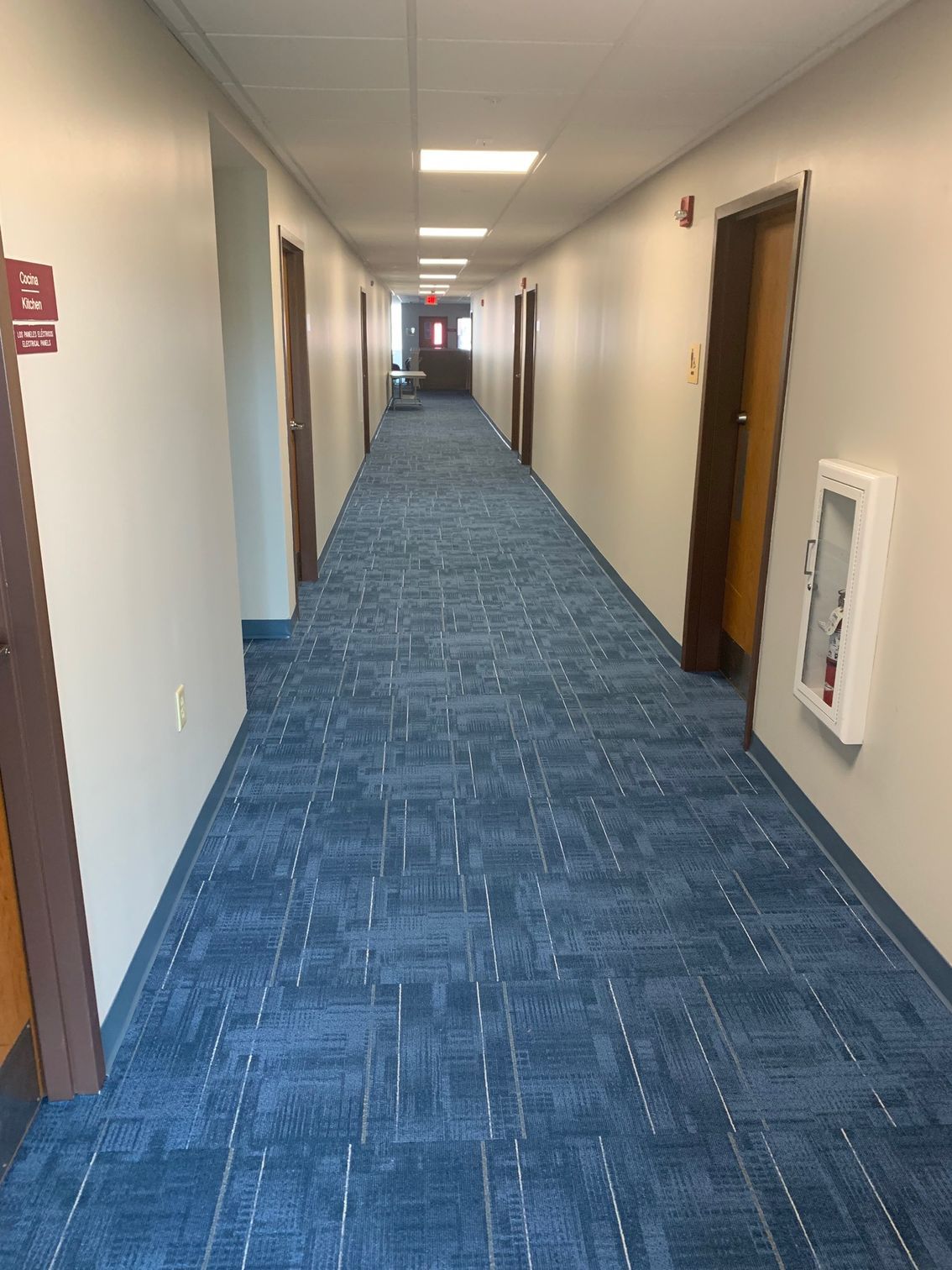 Hallway carpet - After