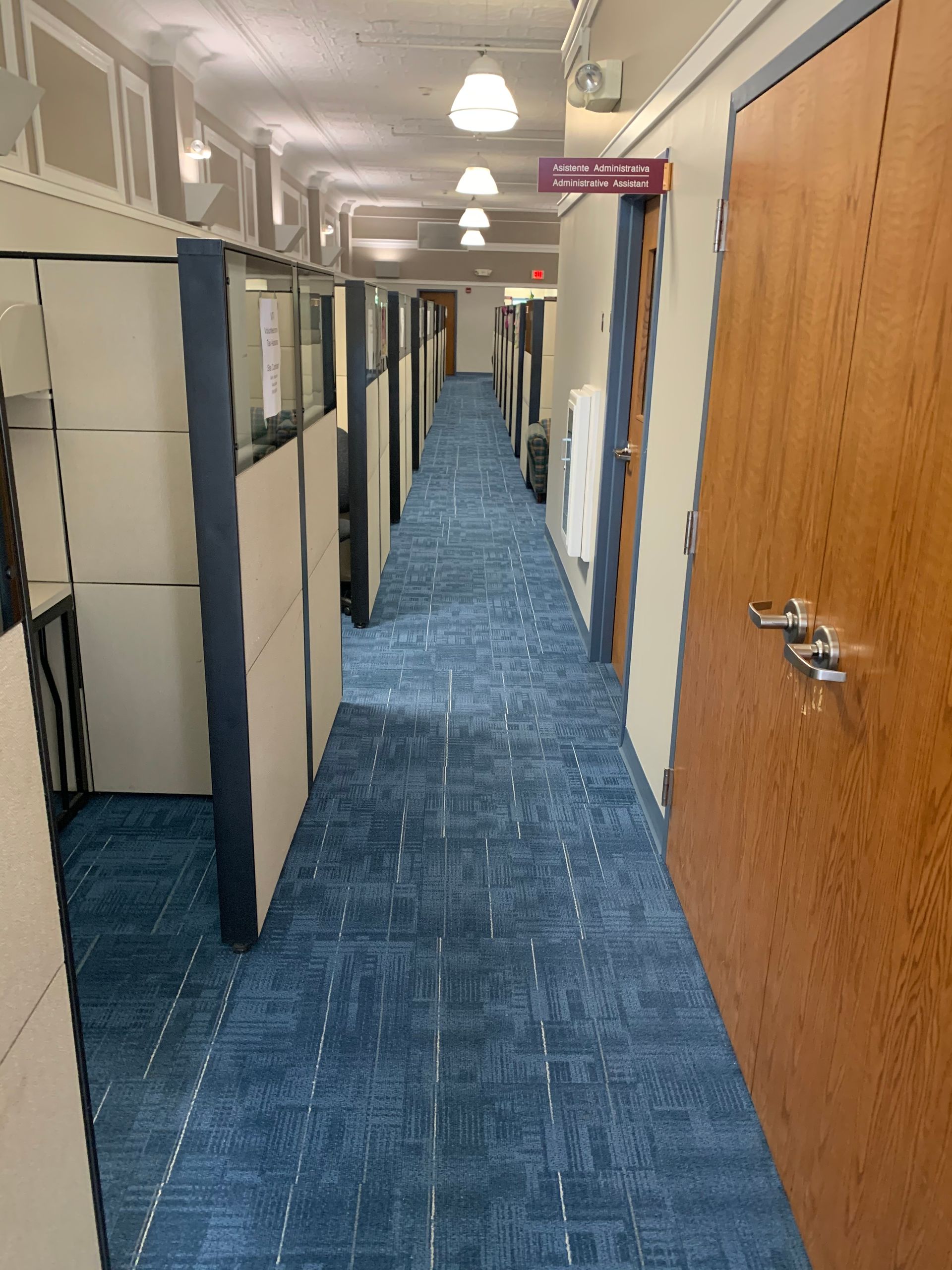 A long hallway with blue carpet and wooden doors in an office