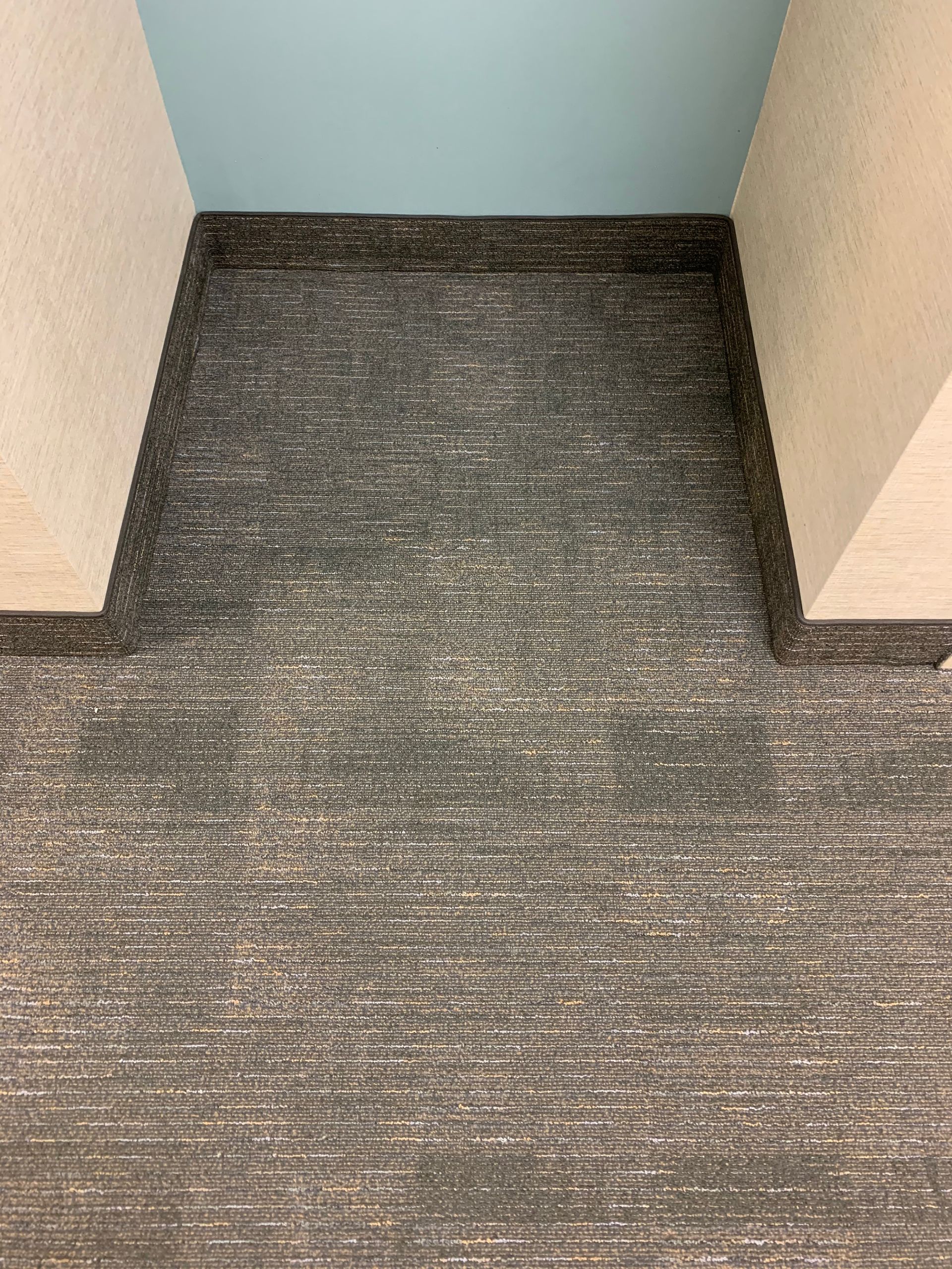 A close up of a carpeted floor in a room with a blue wall