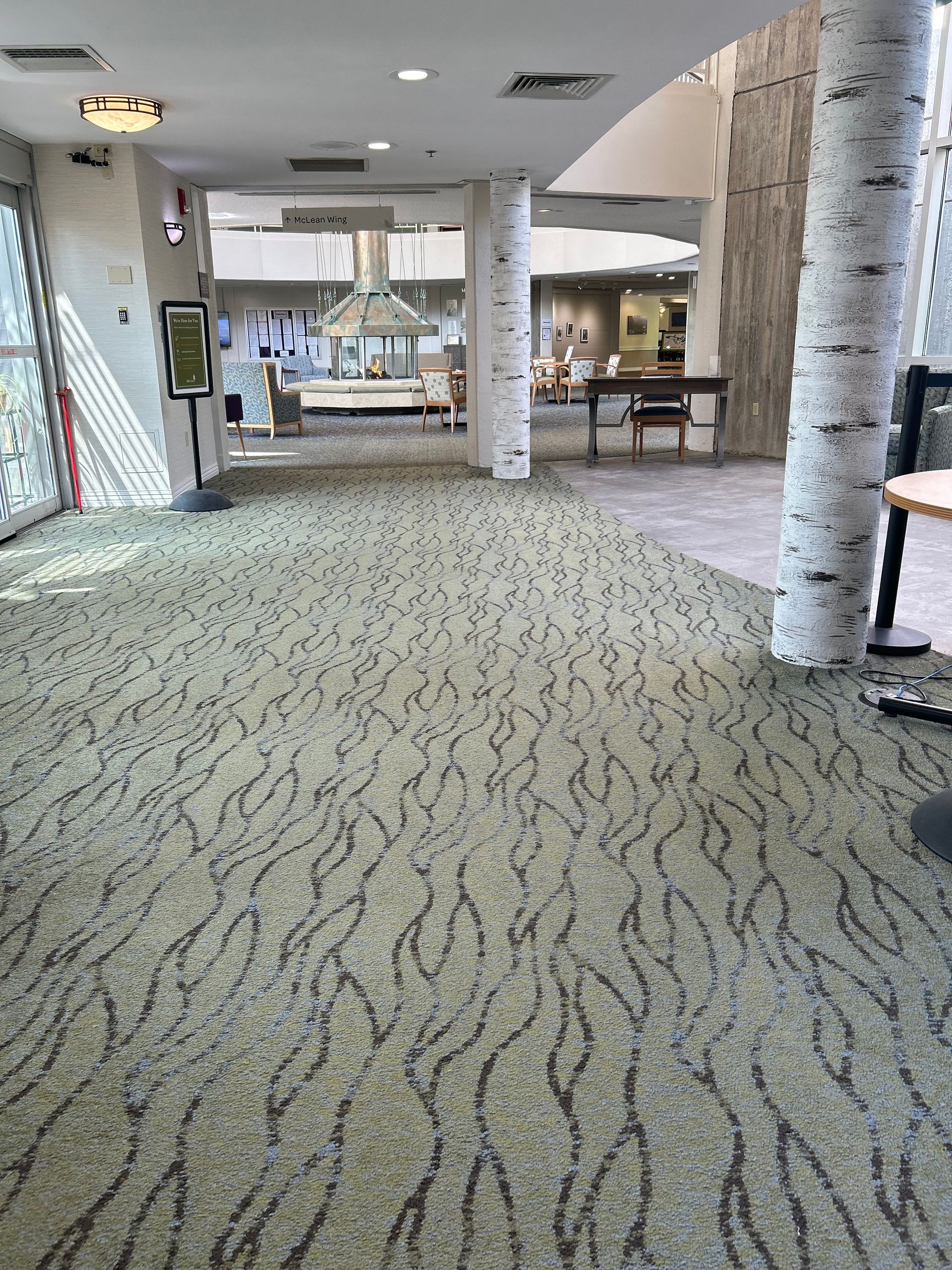 A hallway with a carpeted floor and birch trees in the background
