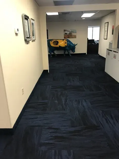 Previous projects floor coverings