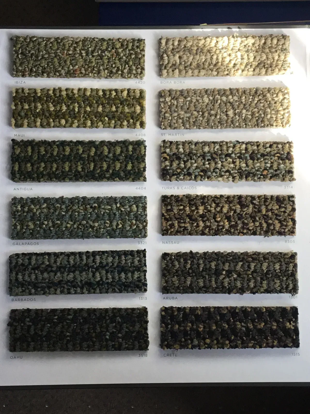 Mannington carpet floor selection