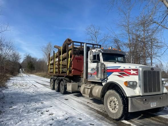 White logging truck on snowy dirt road, loaded with logs.