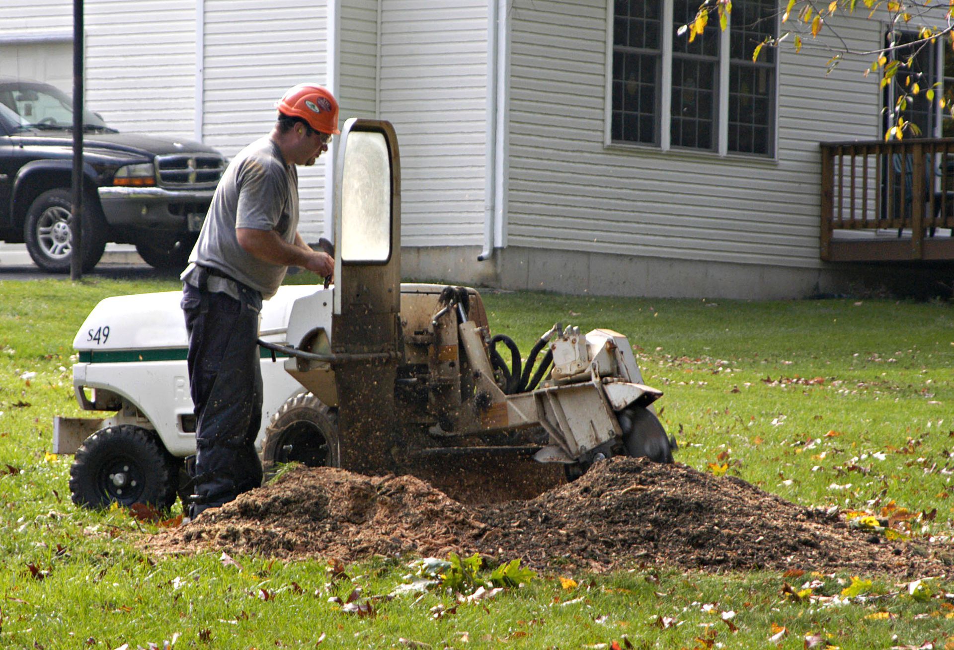 stump grinding