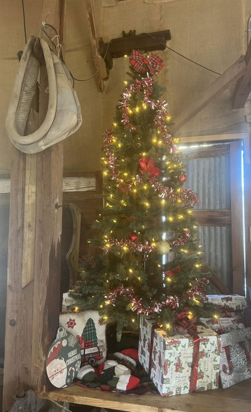 A christmas tree with presents underneath it in a barn.