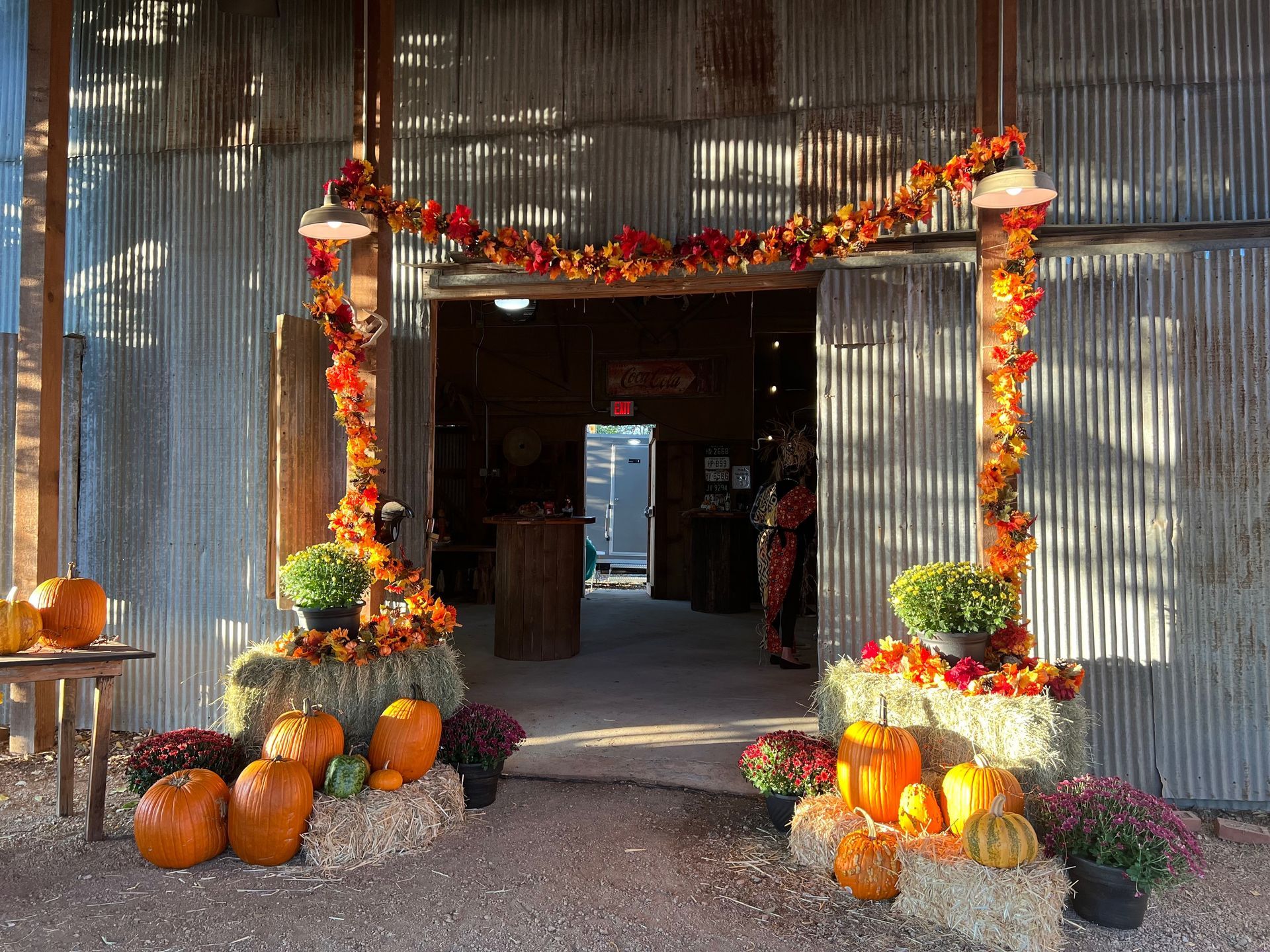 A bunch of pumpkins are sitting on a table in front of a barn.