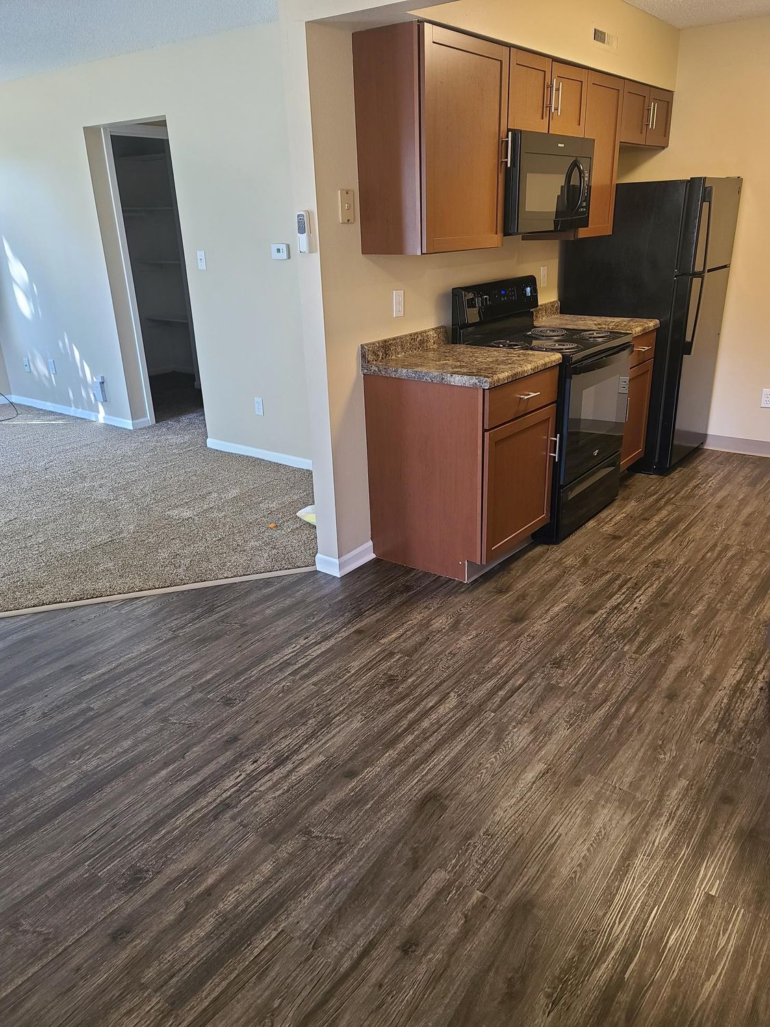 Kitchen and living room