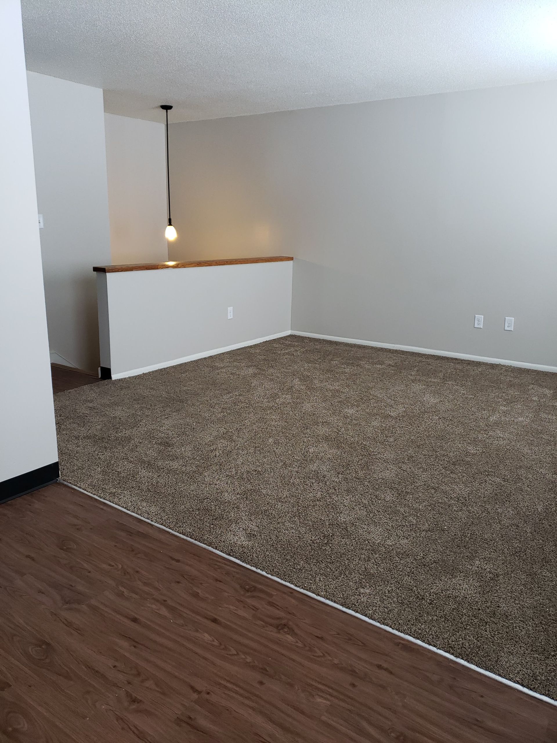 Living room and kitchen