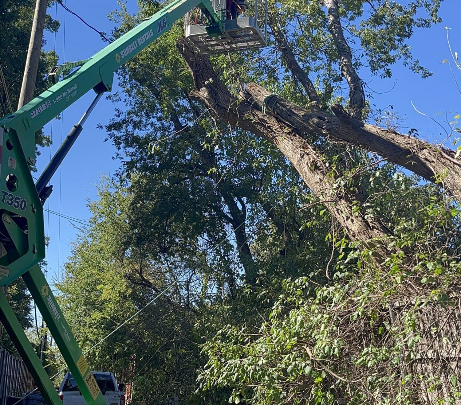 One Way Tree Trimming