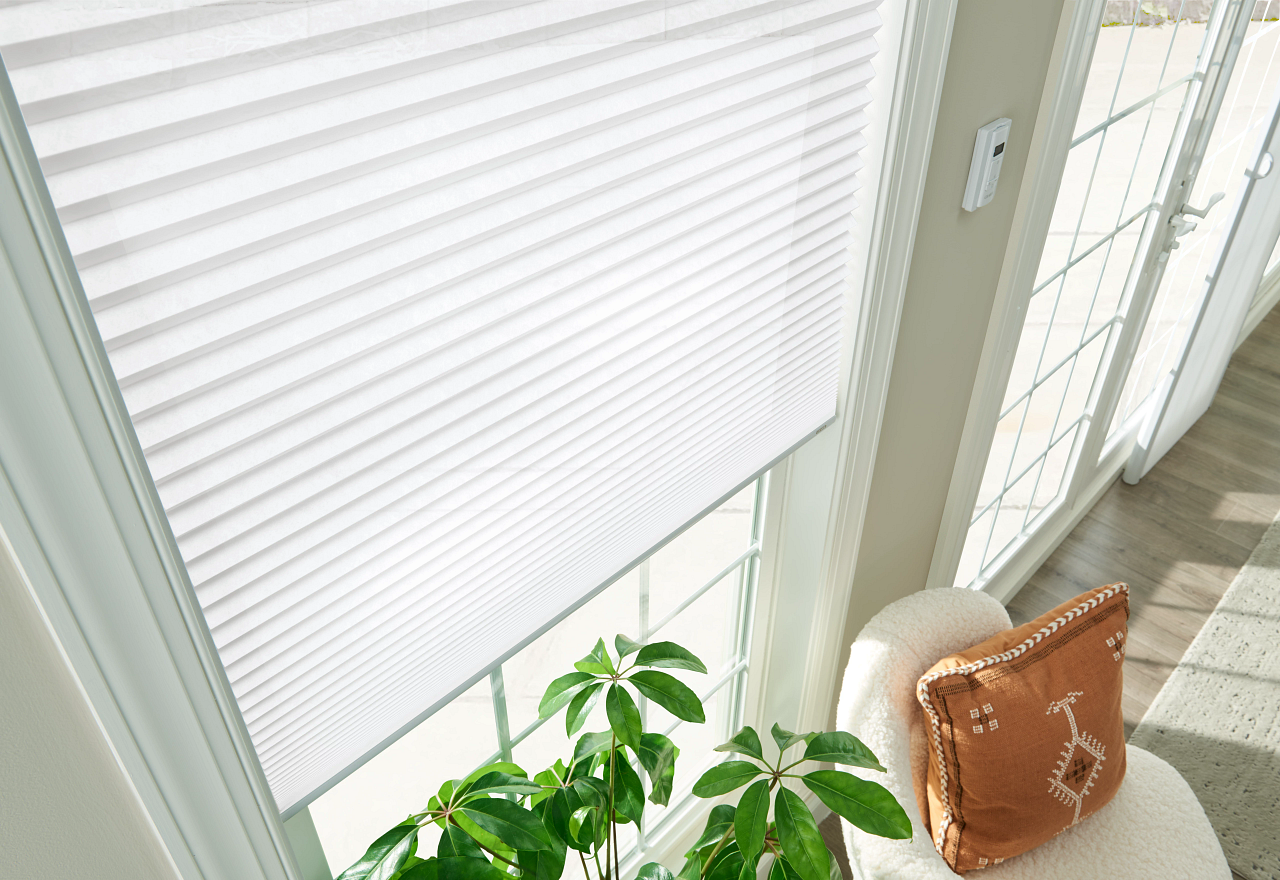 Bright window with white blinds beside a potted plant and tan chair in a sunlit room