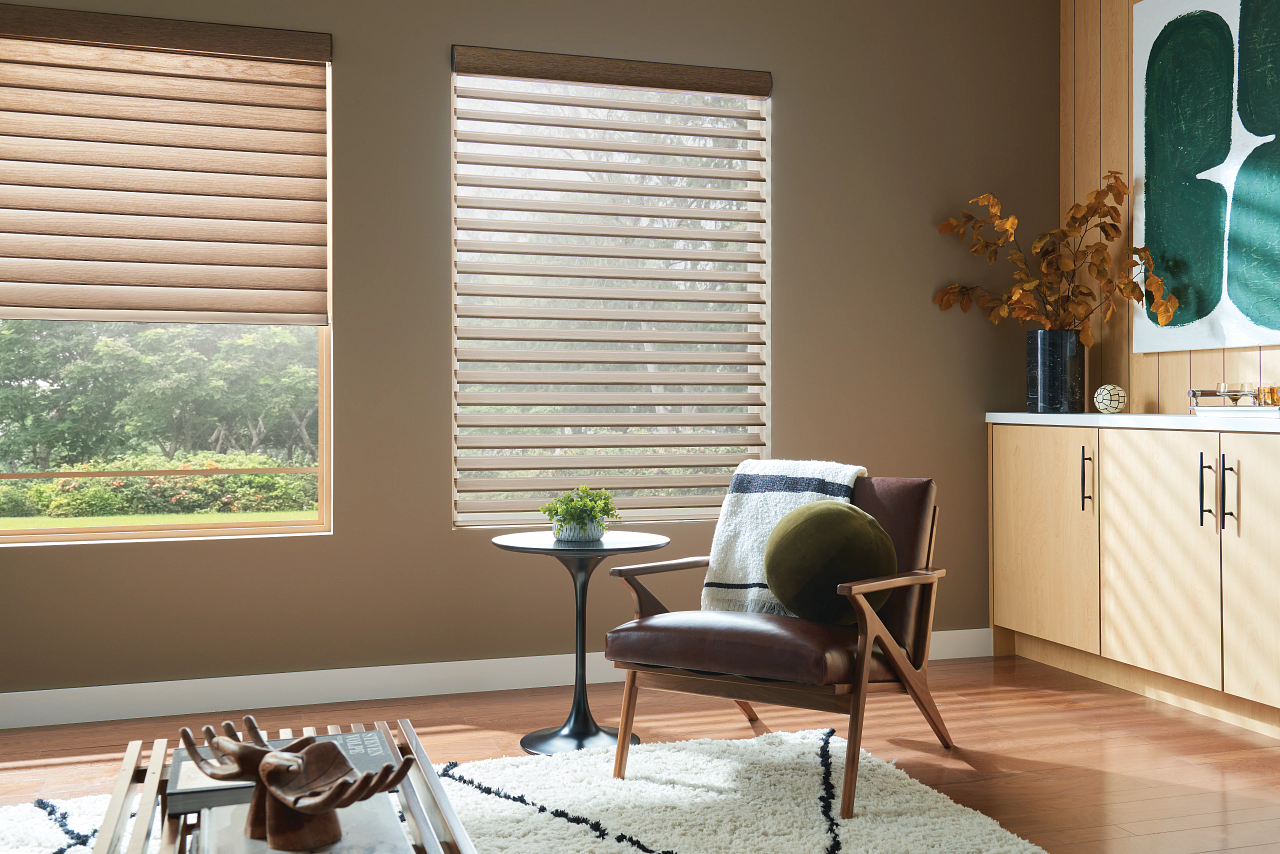 Sunlit living room with woven blinds, a chair, coffee table, rug, and sideboard with plants and wall art