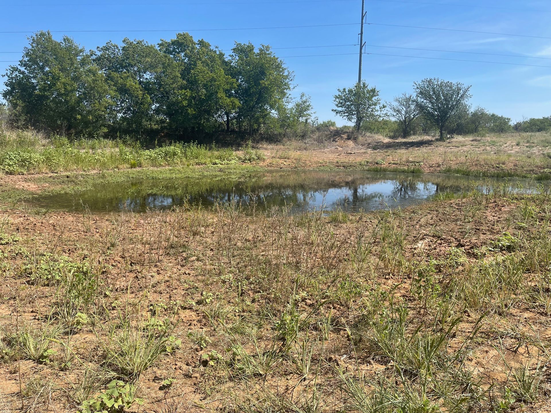 A small pond in the middle of a field with trees in the background.