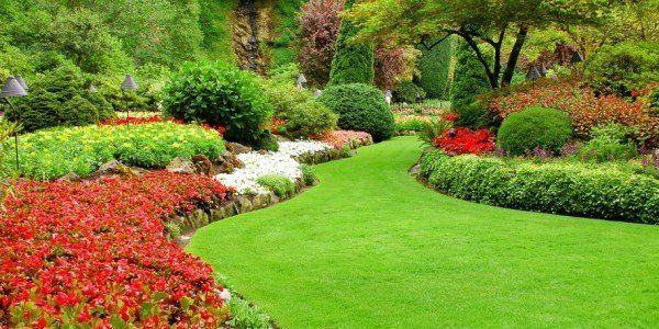 Beautiful landscaping