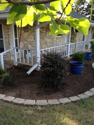 Bushes in front of a house