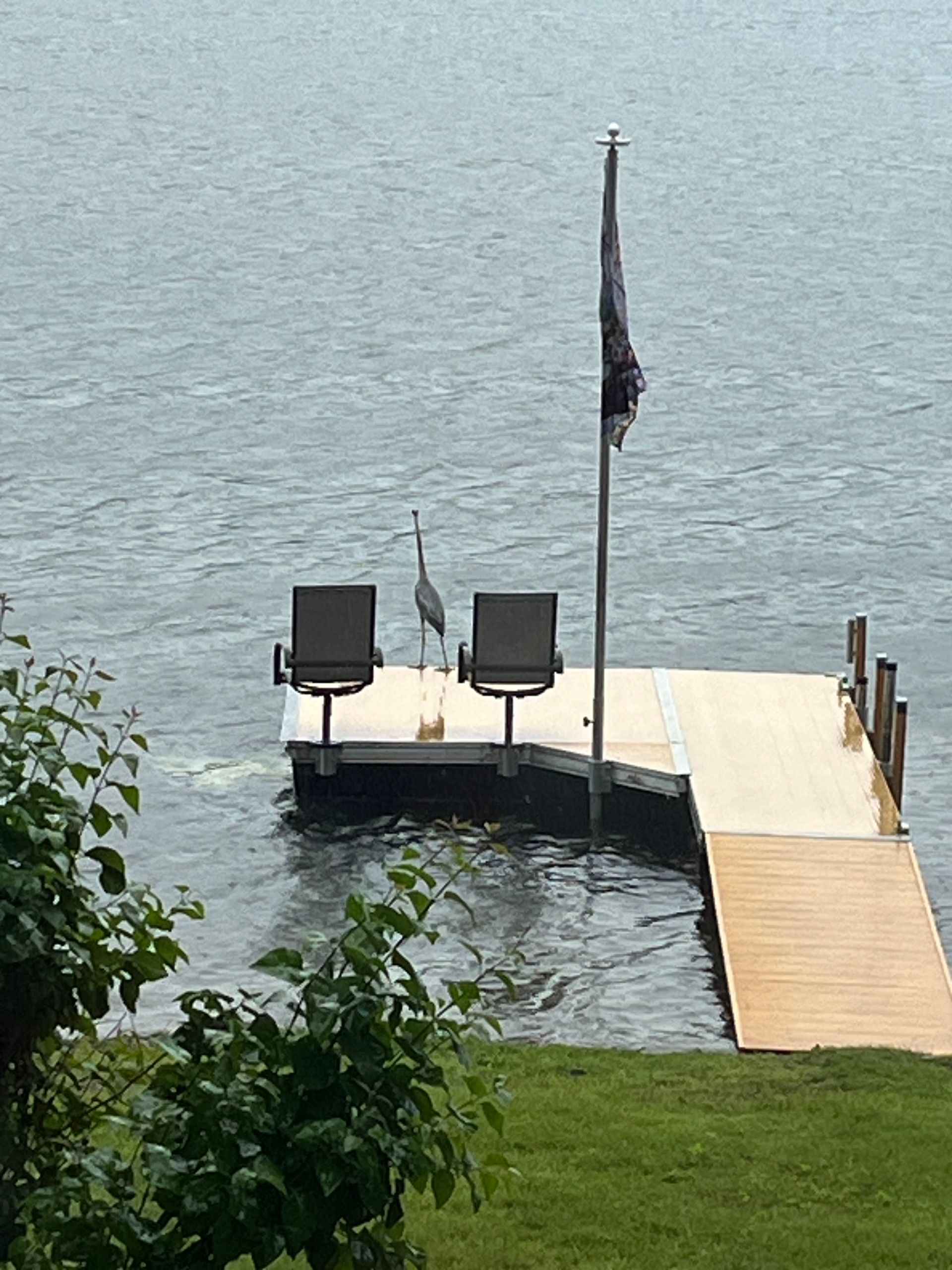A great blue heron stands on a wooden boat dock between two chairs near a flagpole over a lake.