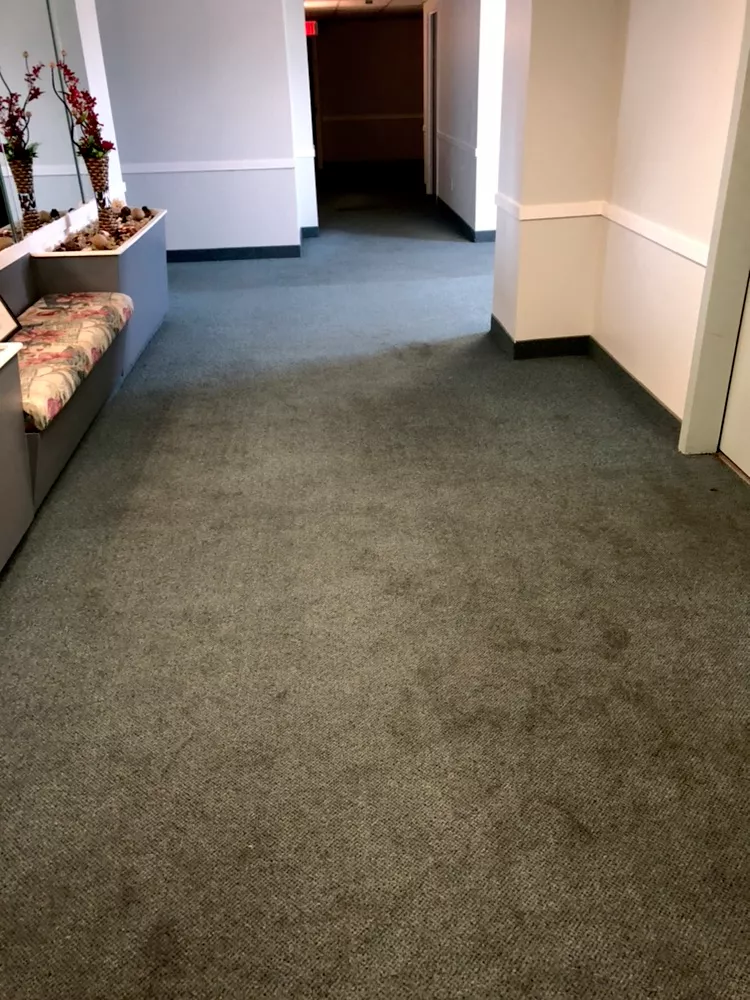 A view down a carpeted indoor hallway with a bench, mirror, and decorative plants on the left and a doorway ahead.