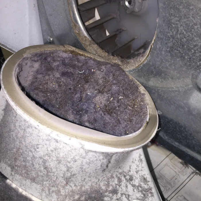 A close-up of a dryer blower housing completely clogged with a thick, dense layer of gray lint and debris.