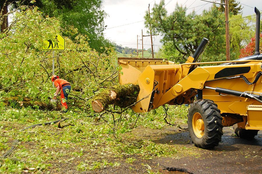 Storm damage