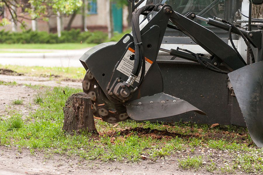 Stump grinding