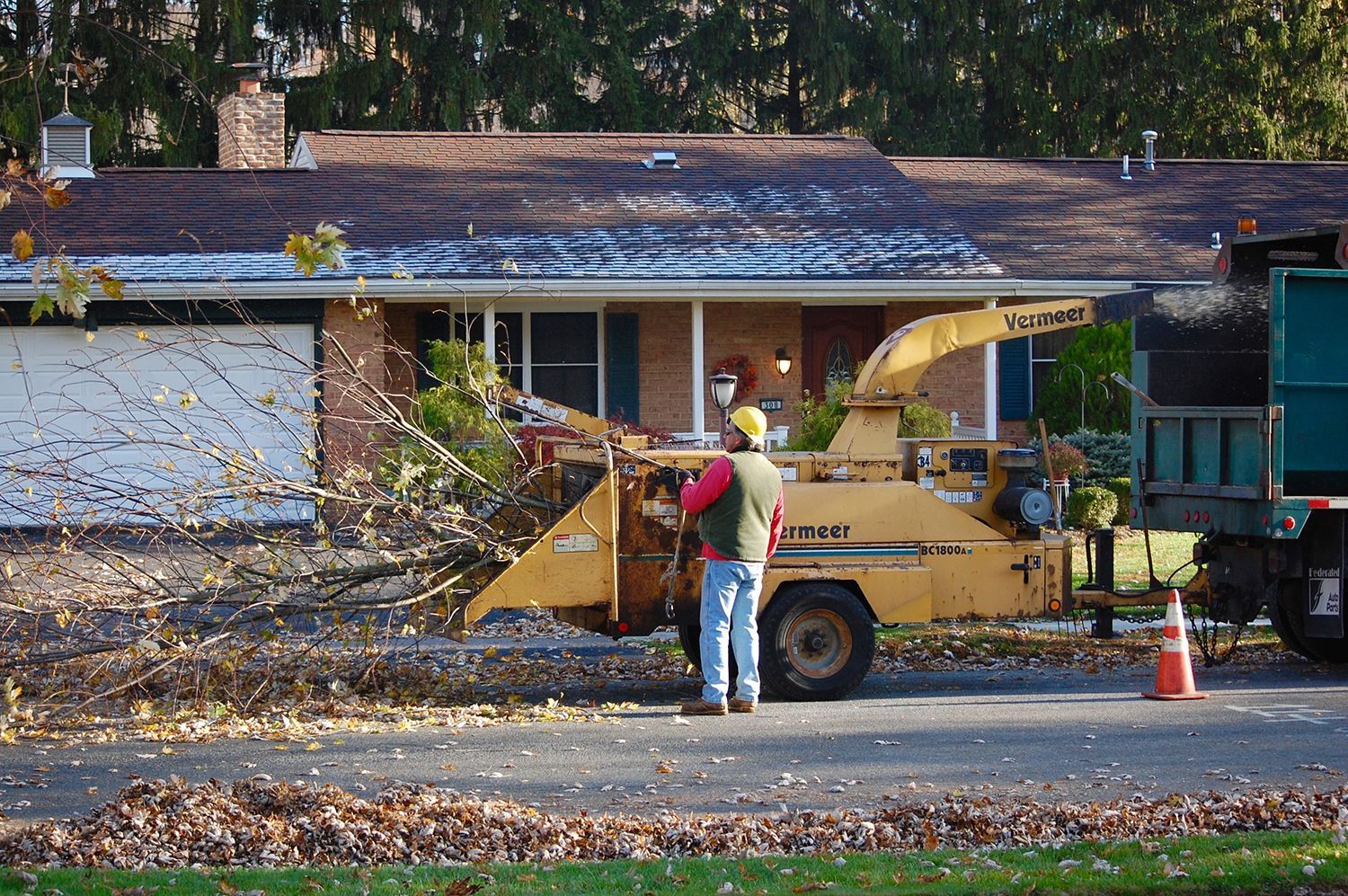 Tree removal