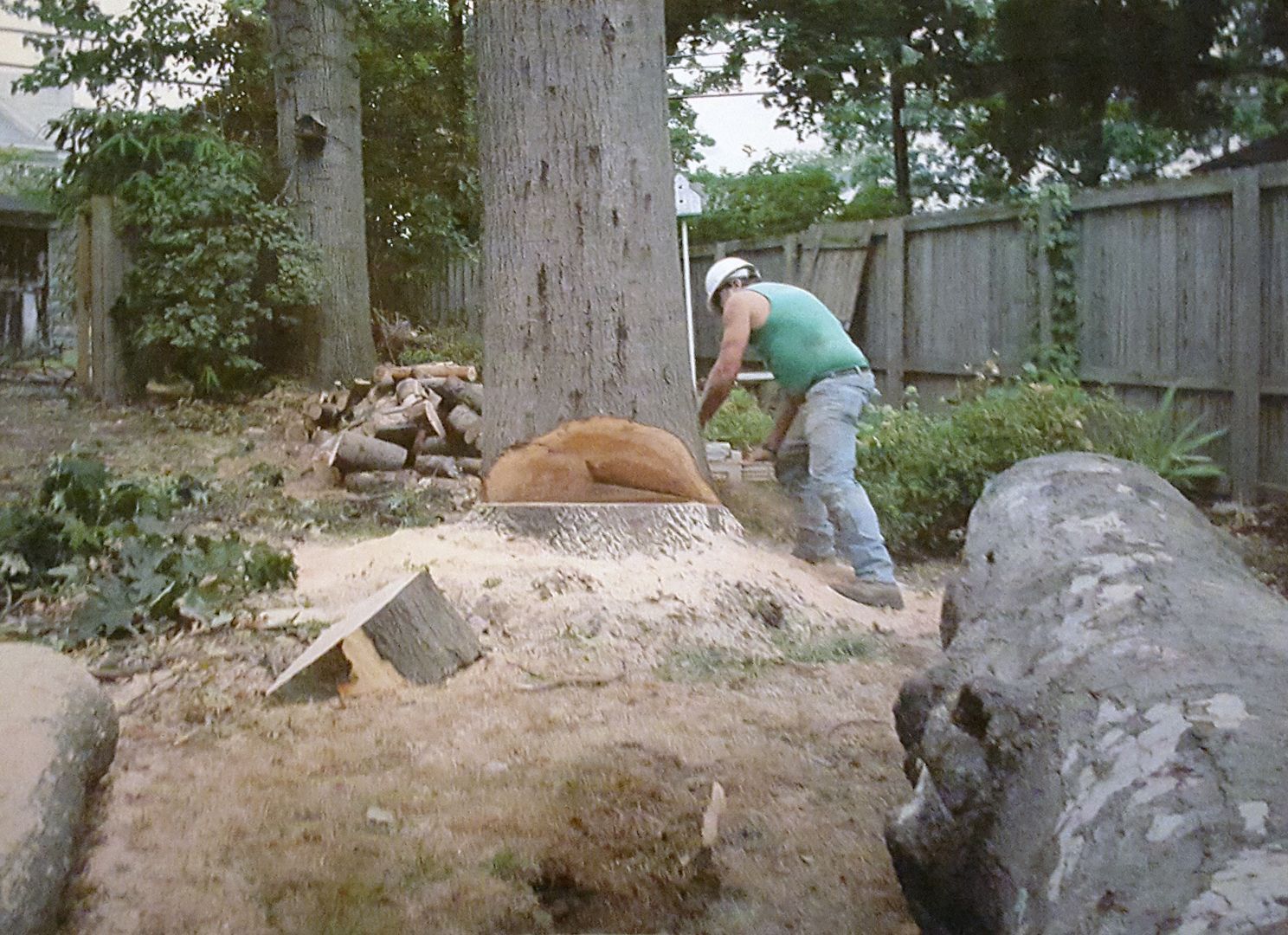 Tree removal