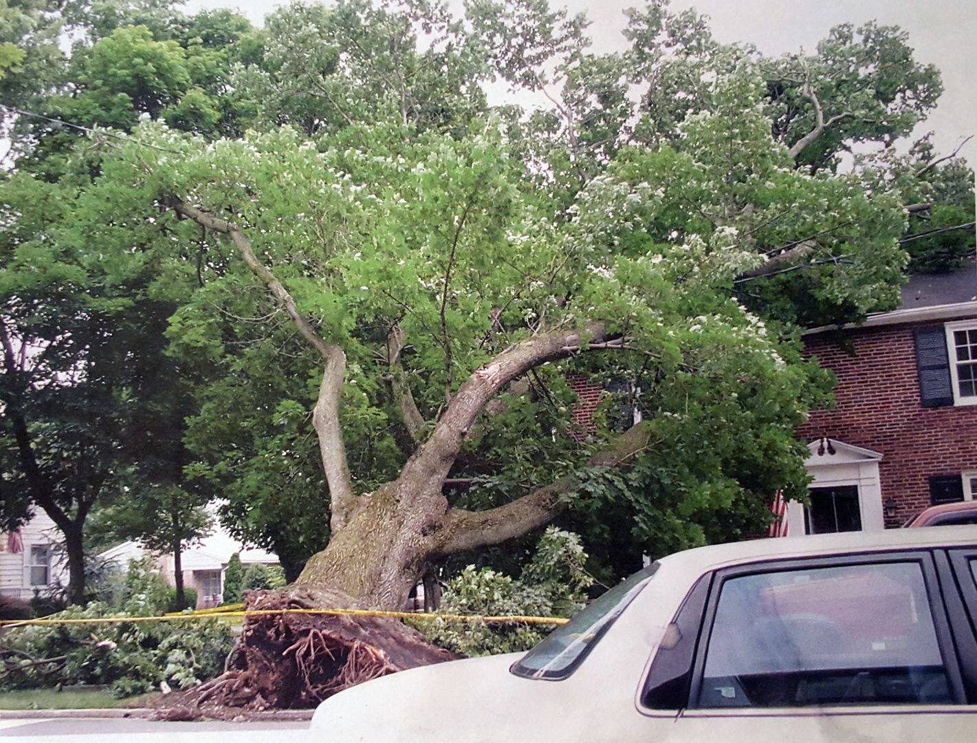 Storm damage
