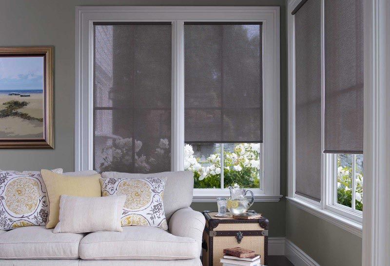 A living room with a couch and two windows with blinds on them.