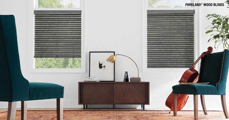 A living room with two chairs and a cello on the floor.