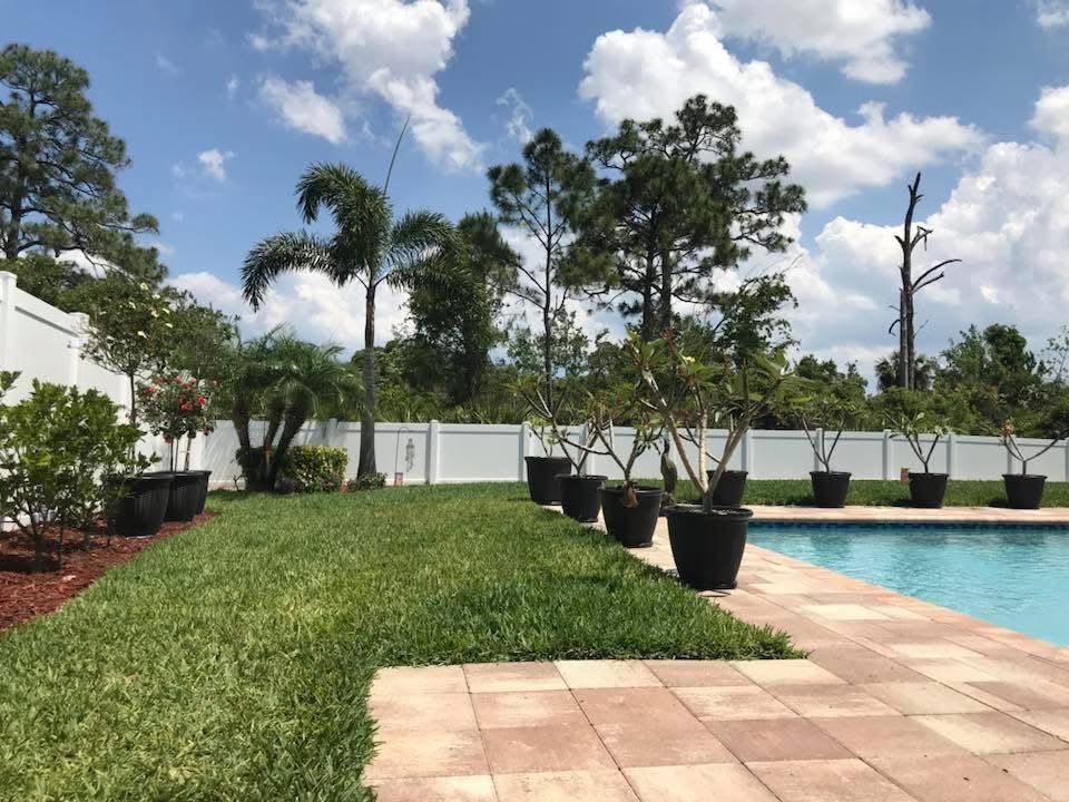 A swimming pool surrounded by potted plants and trees