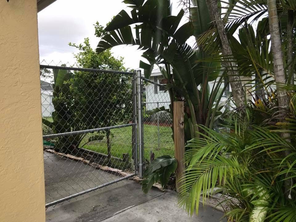 A chain link fence is surrounded by palm trees