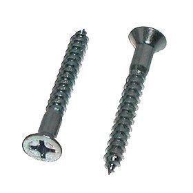 Two silver countersunk screws, one shown head-on and one in side view
