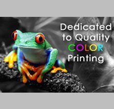 frog-design-and-print
