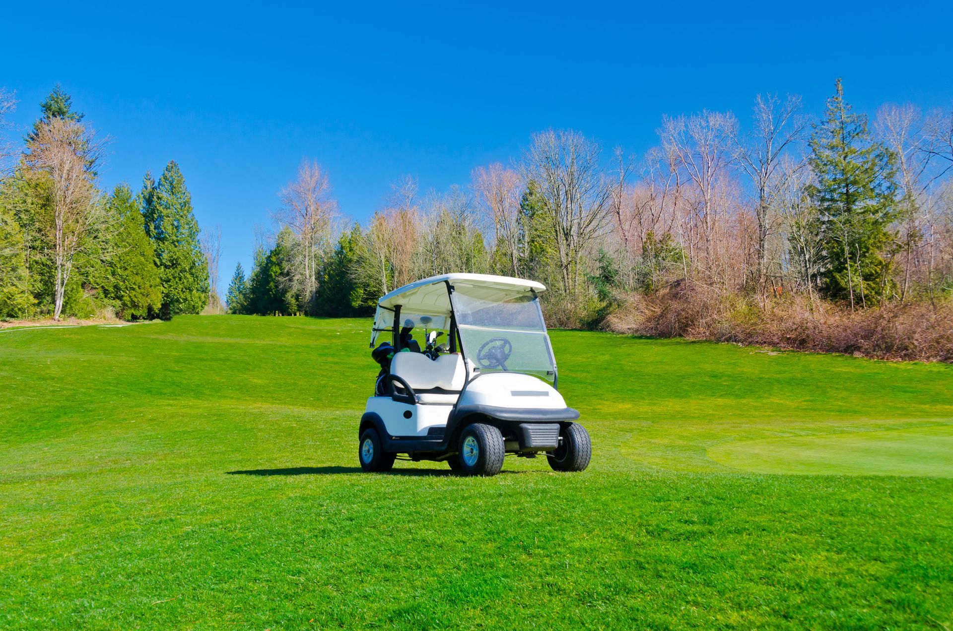 local golf cart