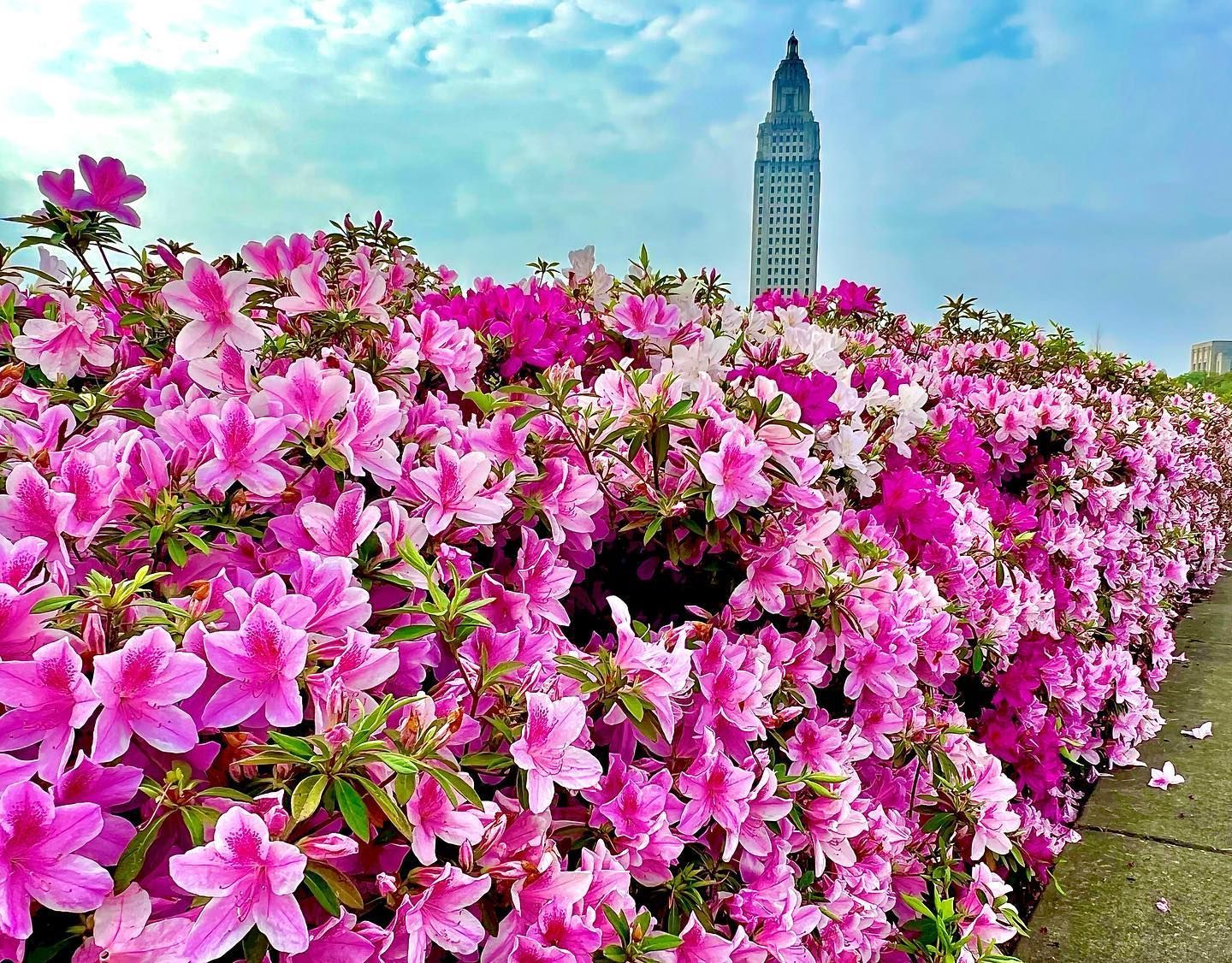 St. Louis Cathedral and Jackson Square
