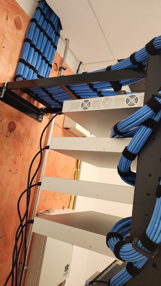 A bunch of blue wires are hanging from a rack.