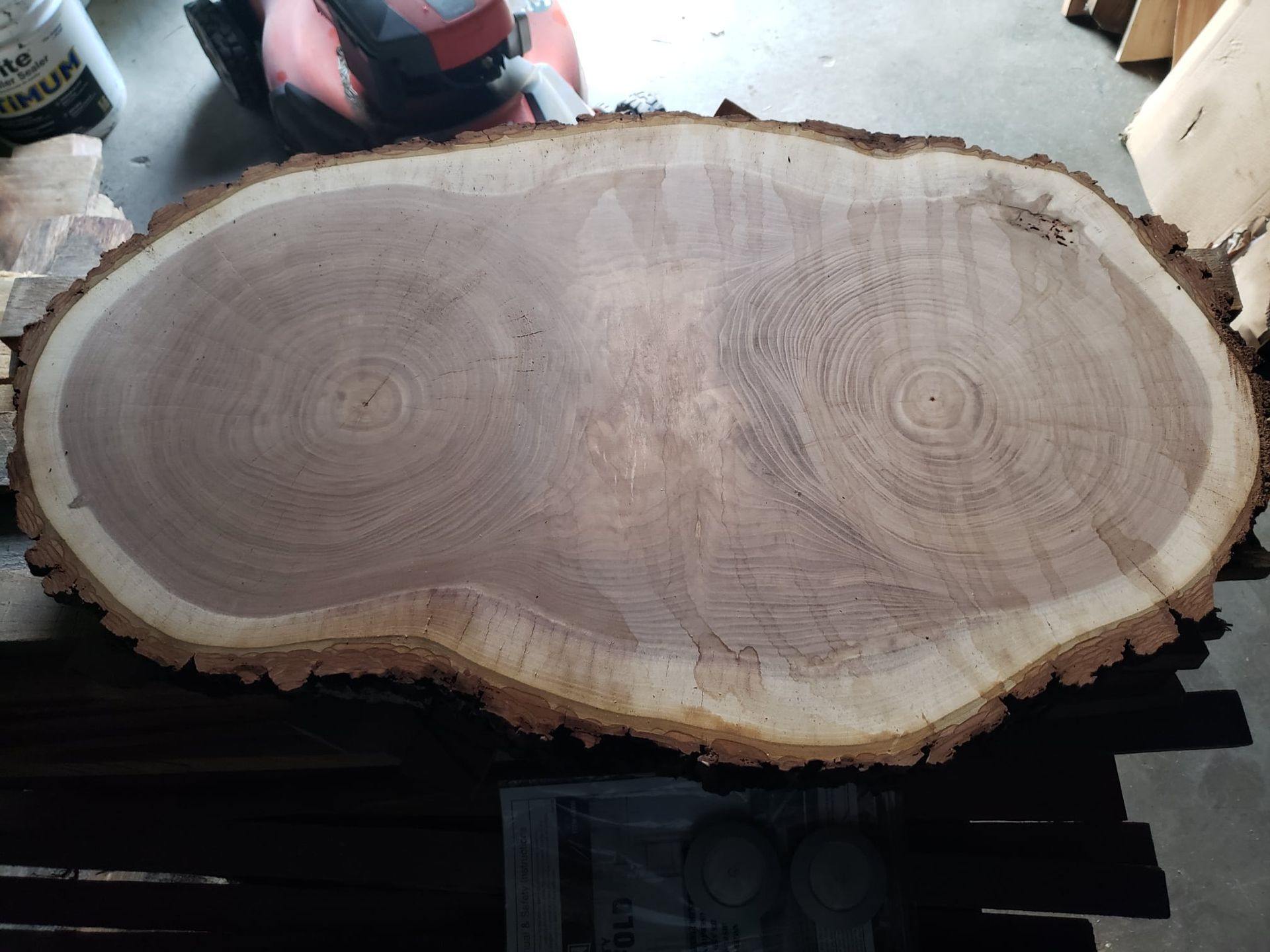 A large, circular wooden slab with two distinct growth centers, showing light-colored sapwood rings and bark edges.