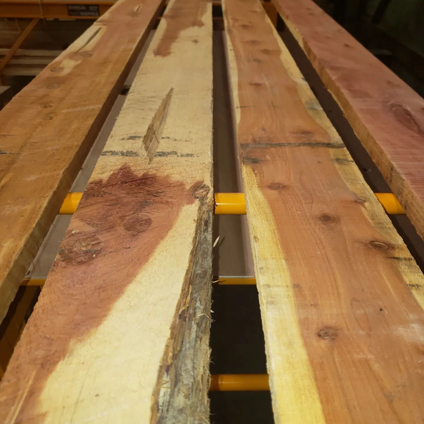 Four unfinished cedar boards with visible grain, knots, and bark edges lying side-by-side on a yellow metal rack.